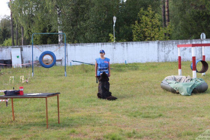 Фотография № 189246