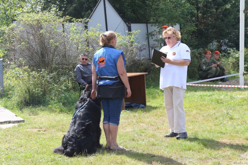 Фотография № 189250