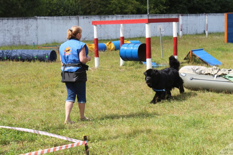 Фотография № 189252