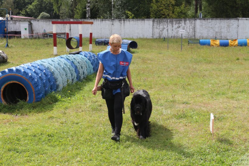 Фотография № 189255