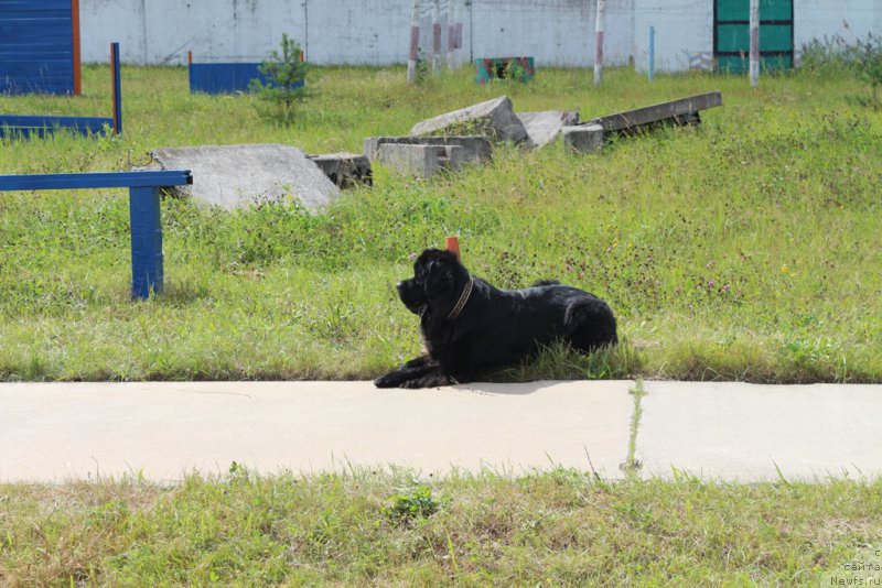 Фотография № 189257