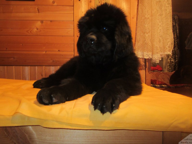 Фото: Natal'ya Smazchikova (Наталья Смазчикова)