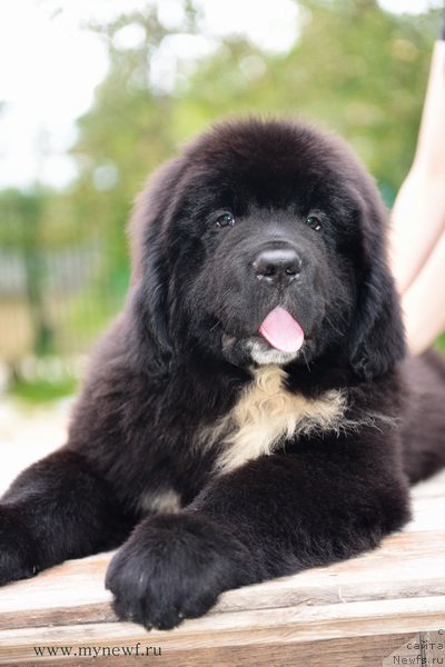 Фотография № 189292