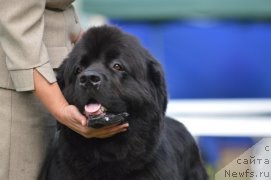 Фотография № 189297