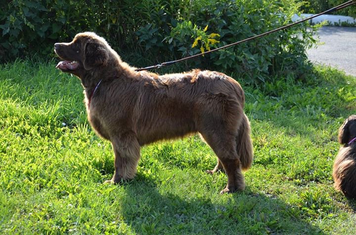 Фотография № 189298