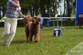 Фотография № 189299