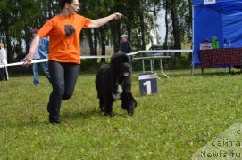 Фото: Хуодэ Шень Афина