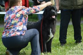 Фотография № 189305