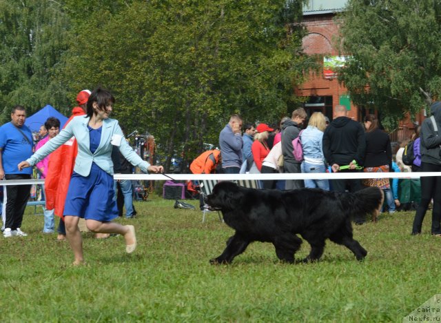 Фотография № 189307