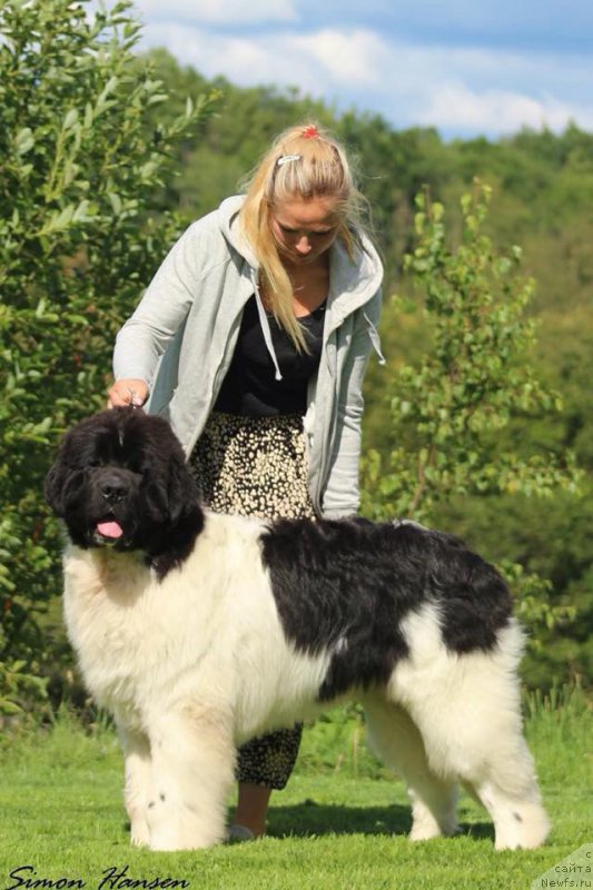 Фотография № 189309