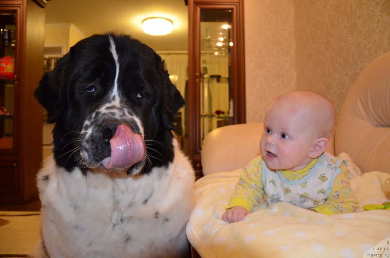 Фотография № 189313