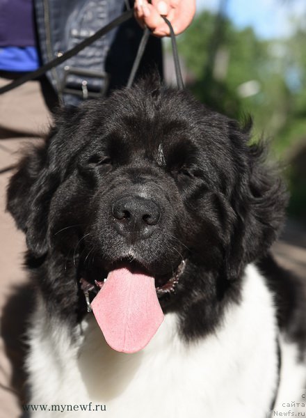 Фотография № 189316