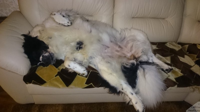 Фотография № 189318