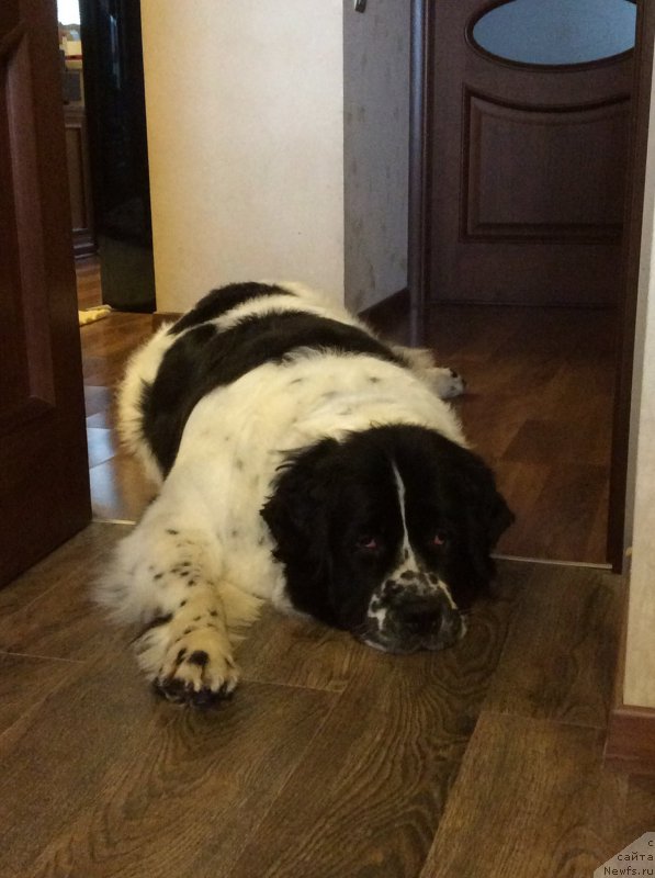 Фотография № 189319