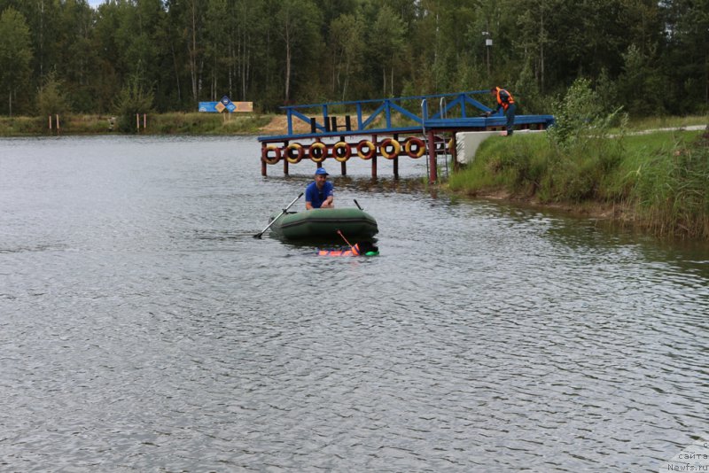 Фотография № 189323