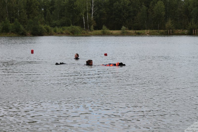 Фотография № 189326