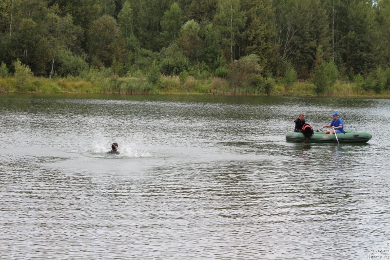 Фотография № 189328