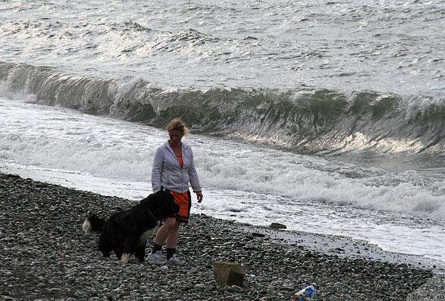 Фото: ньюфаундленд Piternyuf Zhit' Horosho (Питерньюф Жить Хорошо), Светик