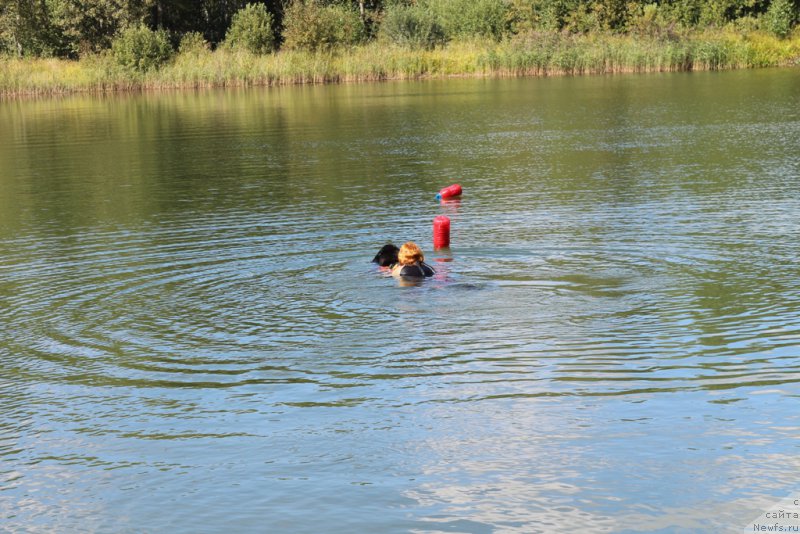 Фотография № 189336