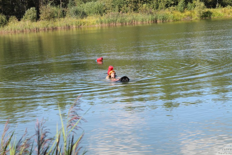 Фотография № 189337