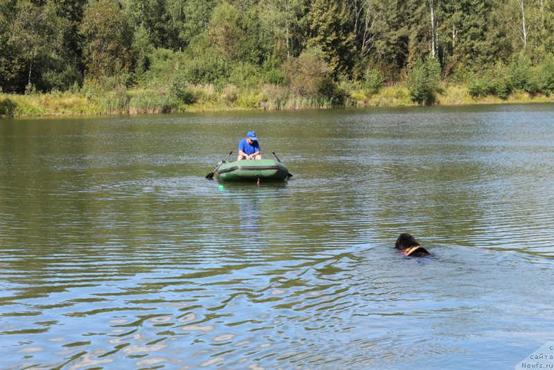 Фотография № 189338