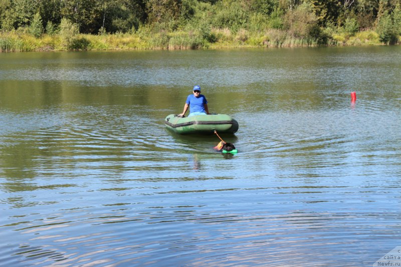 Фотография № 189339