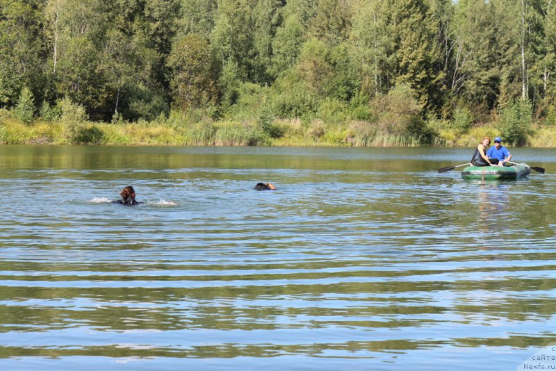 Фотография № 189346