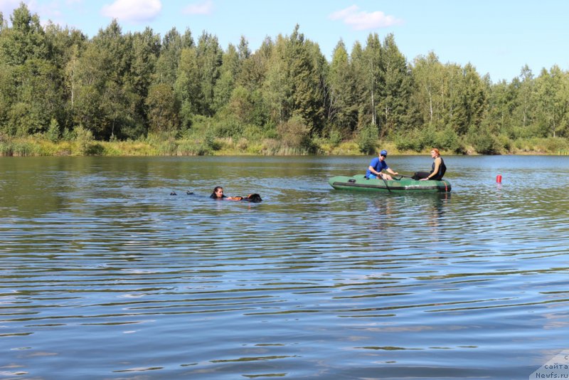 Фотография № 189347