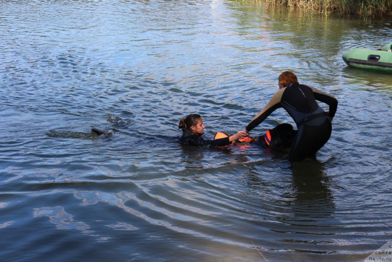 Фотография № 189348