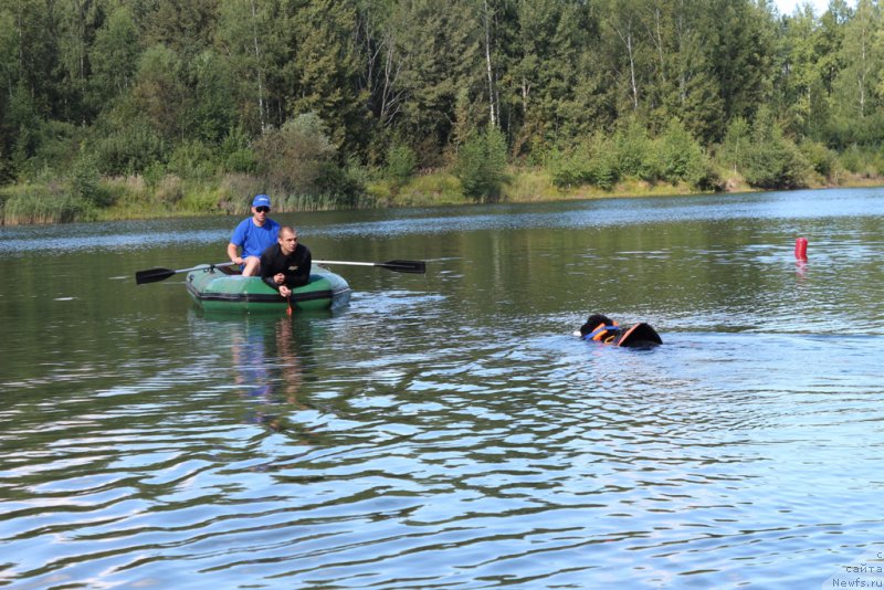 Фотография № 189352