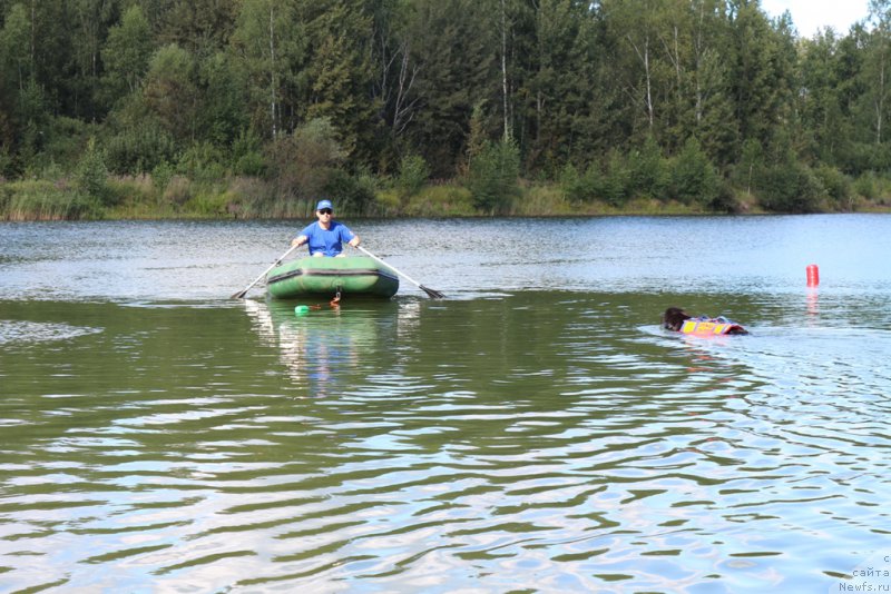 Фотография № 189362