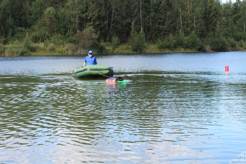 Фотография № 189364