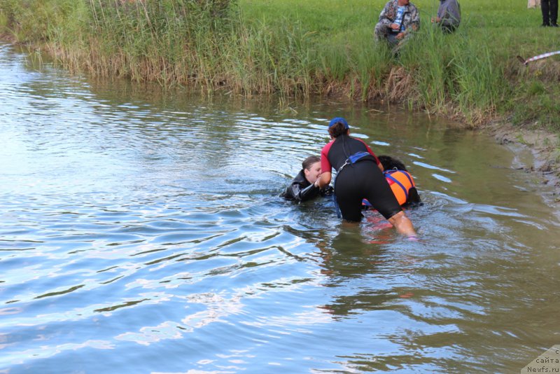 Фотография № 189368