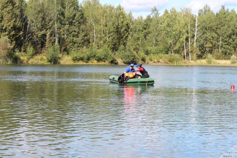 Фотография № 189369