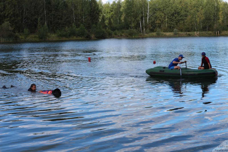 Фотография № 189371