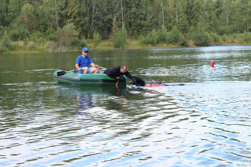 Фотография № 189376