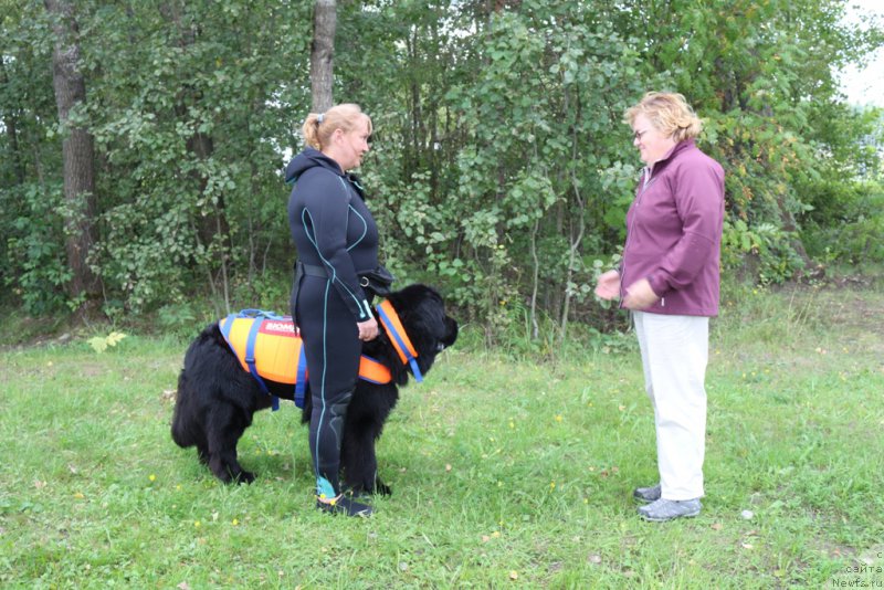 Фотография № 189378