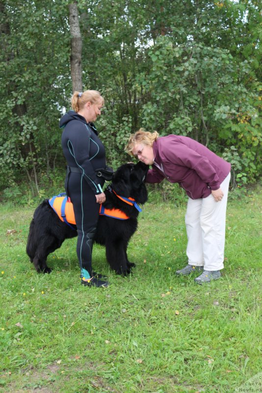 Фотография № 189379