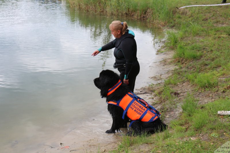 Фотография № 189382