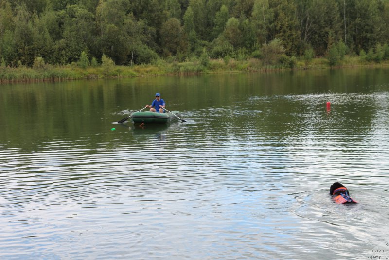 Фотография № 189383