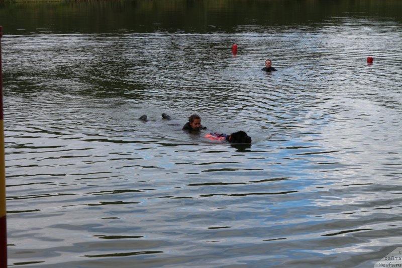 Фотография № 189388