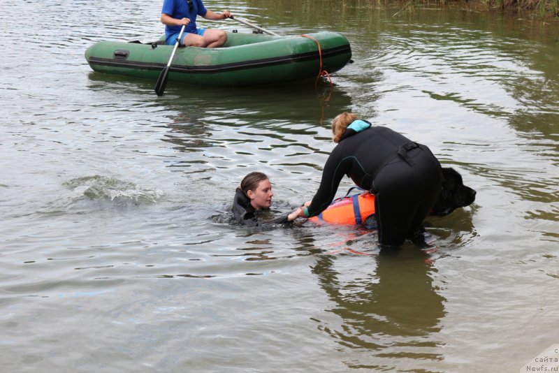 Фотография № 189393