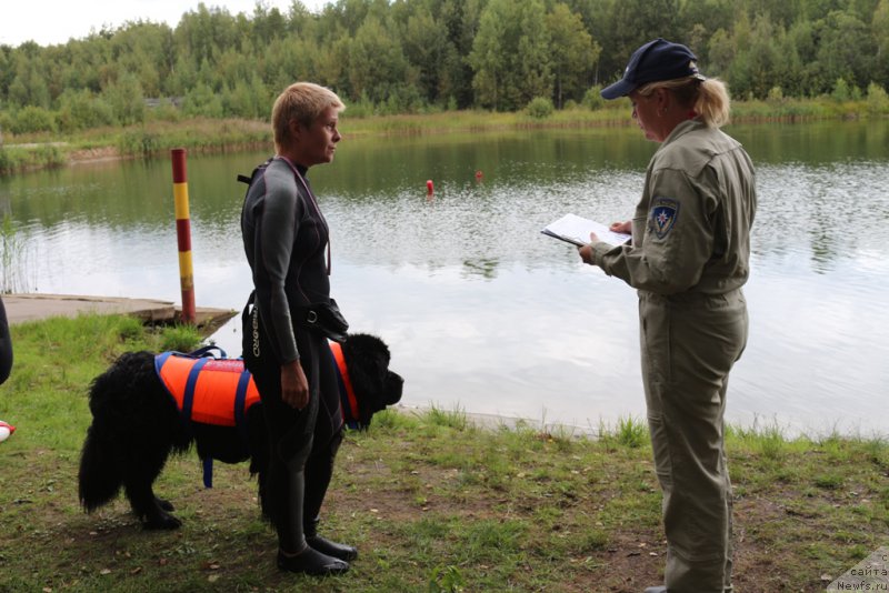 Фотография № 189395