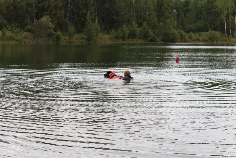 Фотография № 189397