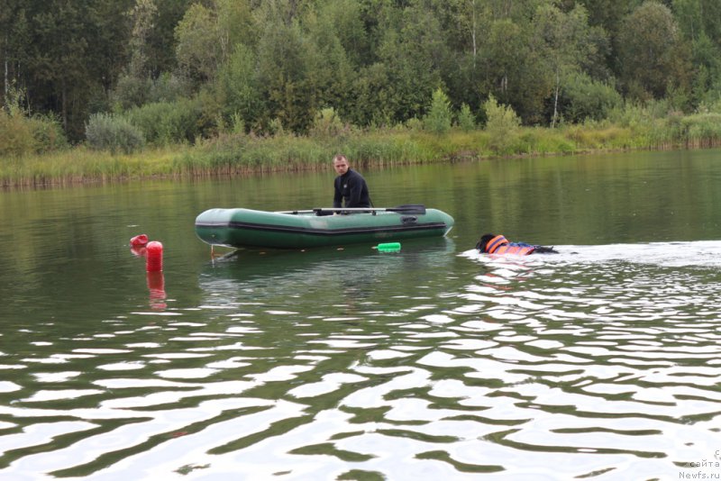 Фотография № 189398