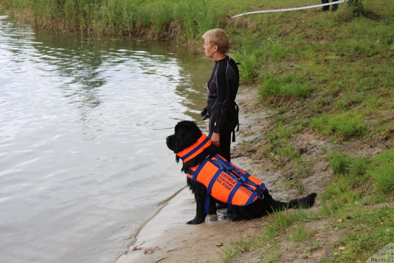 Фото: Larisa Kutina (Лариса Кутина), ньюфаундленд Belkonder-Club Ugli-Boogli (Белкондер-Клаб Угли-Бугли)