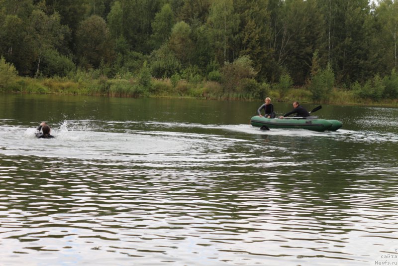 Фотография № 189405