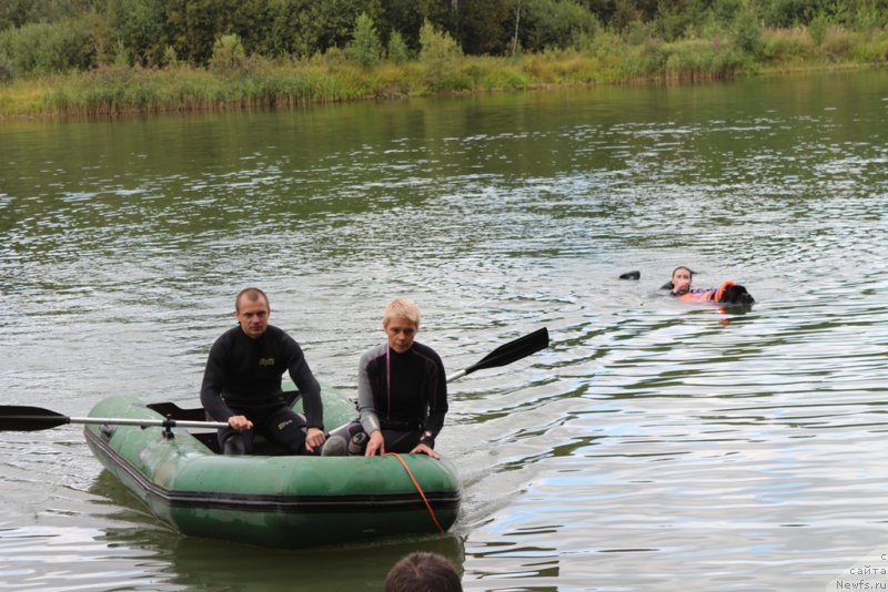 Фотография № 189406