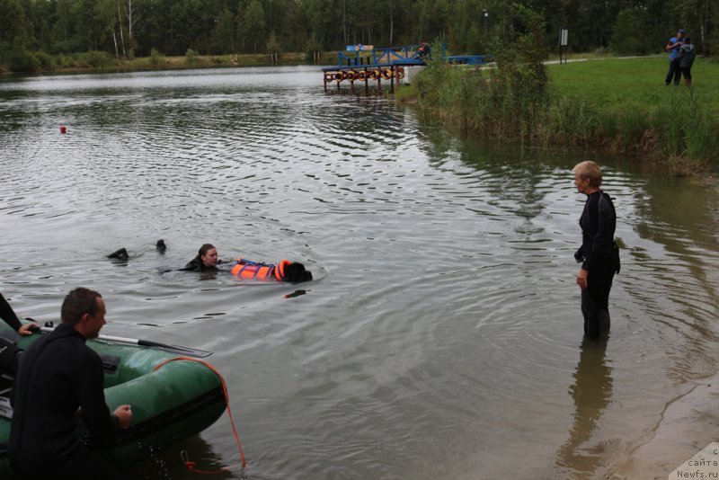 Фотография № 189407