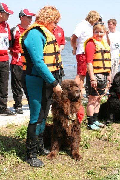 Фото: Liliana Rahmatova (Лилиана Рахматова), [, ньюфаундленд YUdjin s Berega Dona (Юджин с Берега Дона)